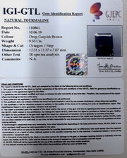 10.57 Ratti Natural Tourmaline With Govt. Lab Certificate-(3441)